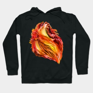 Leo Zodiac Fire Sun Lion Hoodie